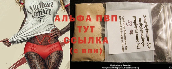 индика Алексеевка
