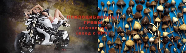каннабис Абдулино