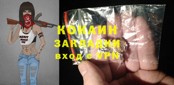 шишки Алзамай