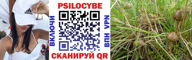 hydra рабочий сайт  Магнитогорск  Псилоцибиновые грибы Psilocybe  закладка 